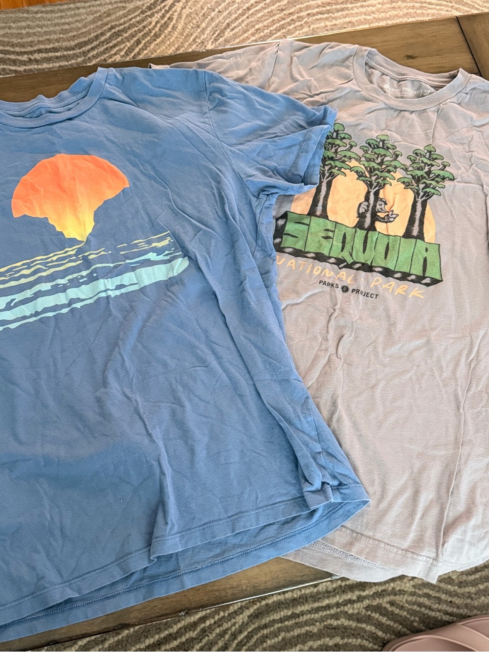 GAP Blue Graphic Tee with Orange Accent and National Parks sequoia T-Shirt #502